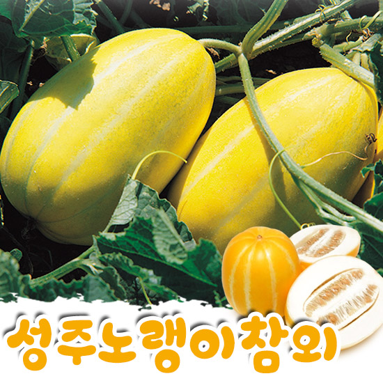 [R&F]성주 노랭이 꿀 참외 2kg (13-16내)